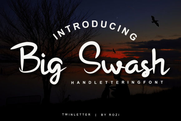 Big Swash: A Whimsical Script Font for Elegant Campaigns