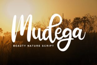 Discover Mudega: A Playful Script for Creative Branding