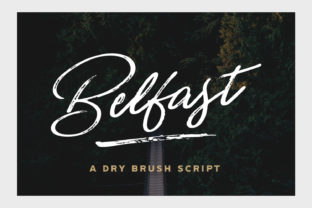 Discover the Charm of Belfast: A Versatile Script Font