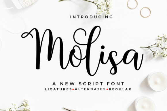Enhance Your Brand with Molisa: A Charming Script Font