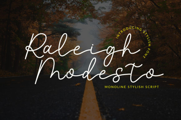 Enhance Your Brand with Raleigh Modesto Font