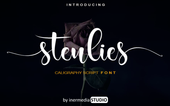 Stenlies: A Charming Handwritten Font for Creative Makers