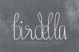 Transform Your Brand with Birdella: A Premium Script Font